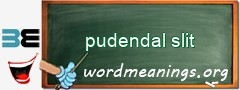 WordMeaning blackboard for pudendal slit